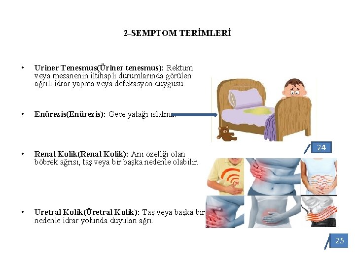 2 -SEMPTOM TERİMLERİ • Uriner Tenesmus(Üriner tenesmus): Rektum veya mesanenin iltihaplı durumlarında görülen ağrılı