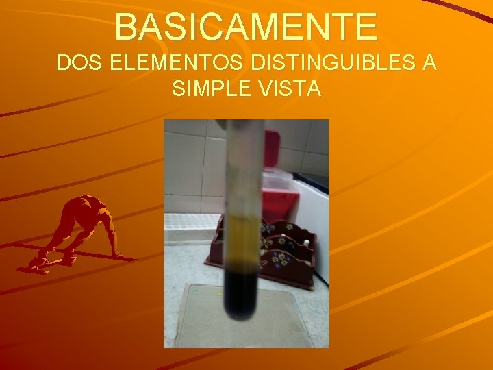 BASICAMENTE DOS ELEMENTOS DISTINGUIBLES A SIMPLE VISTA 