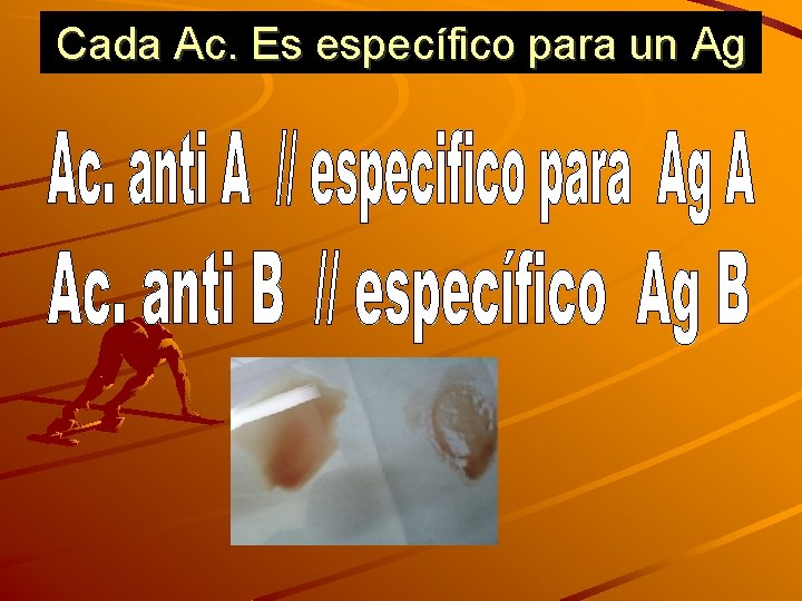 Cada Ac. Es específico para un Ag 