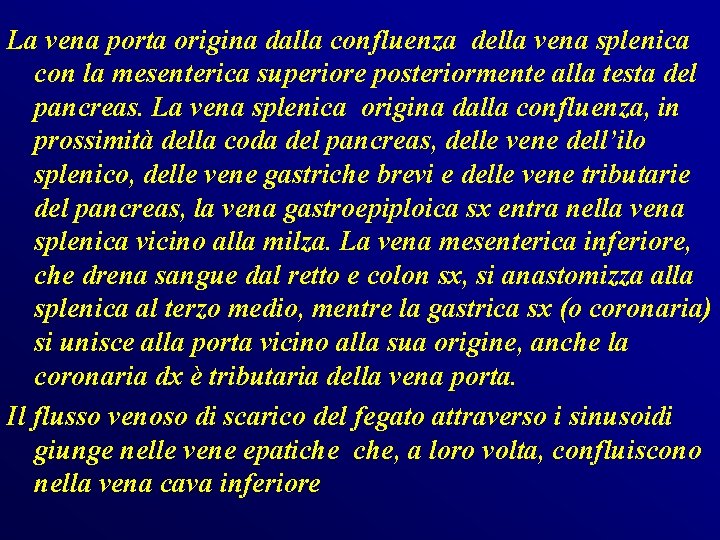 La vena porta origina dalla confluenza della vena splenica con la mesenterica superiore posteriormente La vena porta origina dalla confluenza della vena splenica con la mesenterica superiore posteriormente