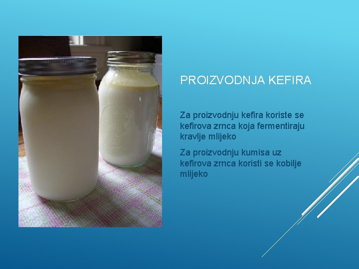 PROIZVODNJA KEFIRA Za proizvodnju kefira koriste se kefirova zrnca koja fermentiraju kravlje mlijeko Za