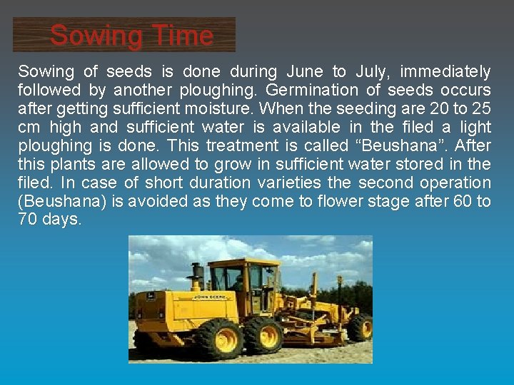 Sowing Time Sowing of seeds is done during June to July, immediately followed by