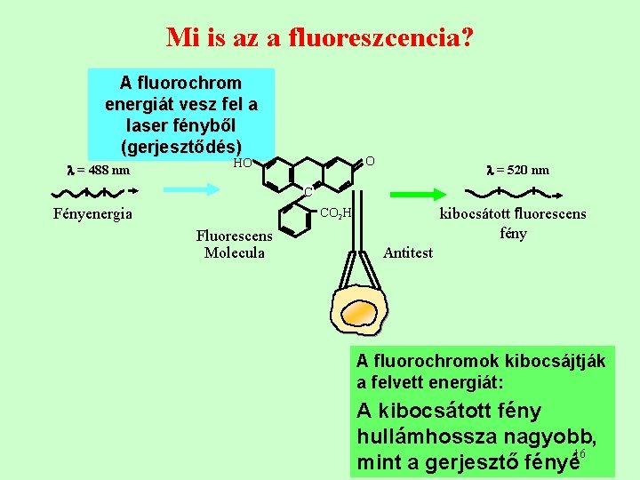 Mi is az a fluoreszcencia? A fluorochrom energiát vesz fel a laser fényből (gerjesztődés) Mi is az a fluoreszcencia? A fluorochrom energiát vesz fel a laser fényből (gerjesztődés)