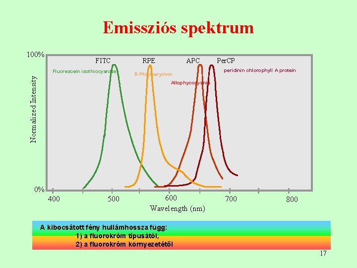 Emissziós spektrum 100% FITC Normalized Intensity Fluorescein isothiocyanate APC RPE R-Phycoerythrin Per. CP peridinin Emissziós spektrum 100% FITC Normalized Intensity Fluorescein isothiocyanate APC RPE R-Phycoerythrin Per. CP peridinin