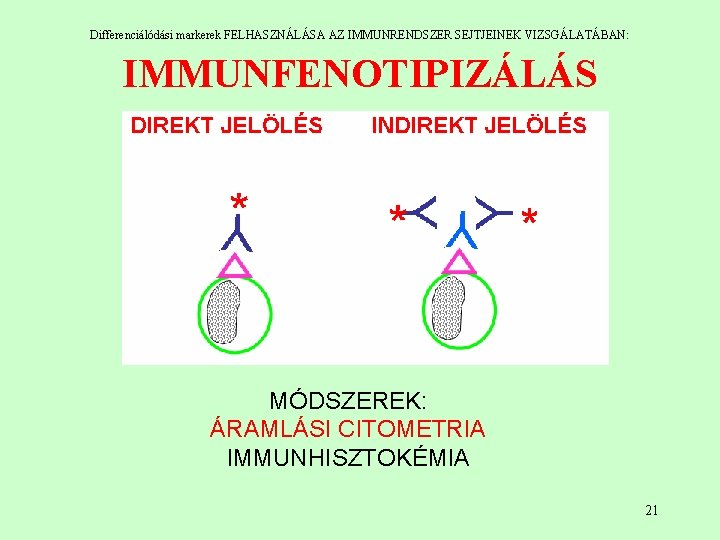 Differenciálódási markerek FELHASZNÁLÁSA AZ IMMUNRENDSZER SEJTJEINEK VIZSGÁLATÁBAN: IMMUNFENOTIPIZÁLÁS MÓDSZEREK: ÁRAMLÁSI CITOMETRIA IMMUNHISZTOKÉMIA 21 Differenciálódási markerek FELHASZNÁLÁSA AZ IMMUNRENDSZER SEJTJEINEK VIZSGÁLATÁBAN: IMMUNFENOTIPIZÁLÁS MÓDSZEREK: ÁRAMLÁSI CITOMETRIA IMMUNHISZTOKÉMIA 21