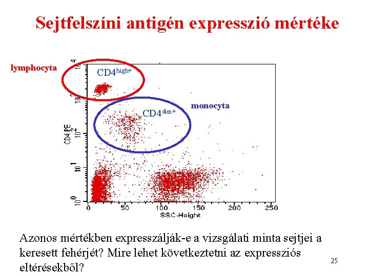 Sejtfelszíni antigén expresszió mértéke lymphocyta CD 4 high+ CD 4 dim+ monocyta Azonos mértékben Sejtfelszíni antigén expresszió mértéke lymphocyta CD 4 high+ CD 4 dim+ monocyta Azonos mértékben