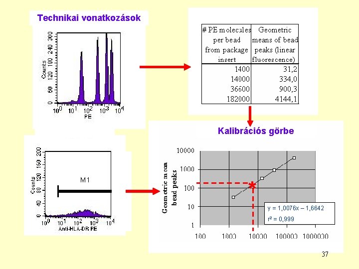 Technikai vonatkozások Kalibrációs görbe M 1 * y = 1, 0076 x – 1, Technikai vonatkozások Kalibrációs görbe M 1 * y = 1, 0076 x – 1,