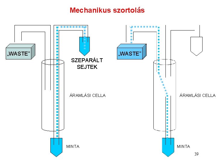 Mechanikus szortolás „WASTE” SZEPARÁLT SEJTEK ÁRAMLÁSI CELLA MINTA 39 Mechanikus szortolás „WASTE” SZEPARÁLT SEJTEK ÁRAMLÁSI CELLA MINTA 39