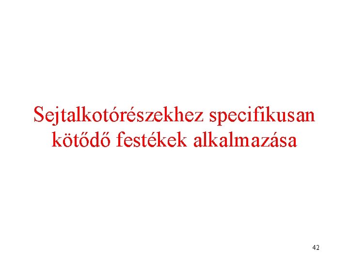 Sejtalkotórészekhez specifikusan kötődő festékek alkalmazása 42 Sejtalkotórészekhez specifikusan kötődő festékek alkalmazása 42