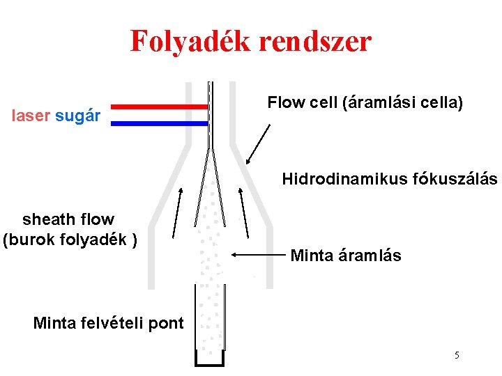 Folyadék rendszer laser sugár Flow cell (áramlási cella) Hidrodinamikus fókuszálás sheath flow (burok folyadék Folyadék rendszer laser sugár Flow cell (áramlási cella) Hidrodinamikus fókuszálás sheath flow (burok folyadék