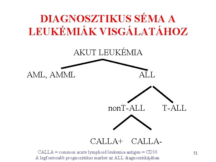 DIAGNOSZTIKUS SÉMA A LEUKÉMIÁK VISGÁLATÁHOZ AKUT LEUKÉMIA AML, AMML ALL non. T-ALL CALLA+ T-ALL DIAGNOSZTIKUS SÉMA A LEUKÉMIÁK VISGÁLATÁHOZ AKUT LEUKÉMIA AML, AMML ALL non. T-ALL CALLA+ T-ALL