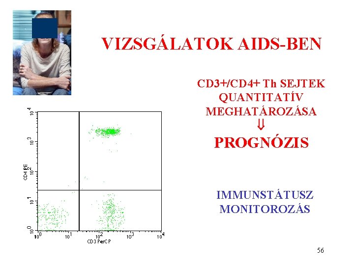 VIZSGÁLATOK AIDS-BEN CD 3+/CD 4+ Th SEJTEK QUANTITATÍV MEGHATÁROZÁSA PROGNÓZIS IMMUNSTÁTUSZ MONITOROZÁS 56 VIZSGÁLATOK AIDS-BEN CD 3+/CD 4+ Th SEJTEK QUANTITATÍV MEGHATÁROZÁSA PROGNÓZIS IMMUNSTÁTUSZ MONITOROZÁS 56