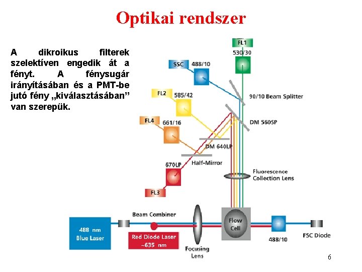 Optikai rendszer A dikroikus filterek szelektíven engedik át a fényt. A fénysugár irányításában és Optikai rendszer A dikroikus filterek szelektíven engedik át a fényt. A fénysugár irányításában és