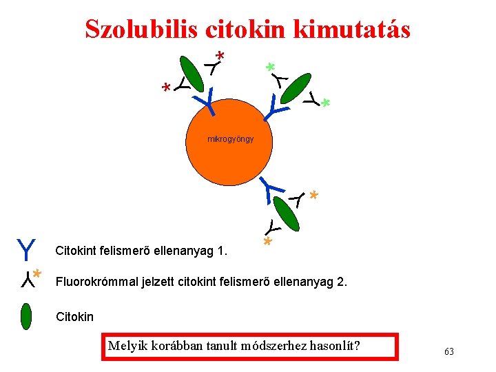 Y* Szolubilis citokin kimutatás Y Y * Y * * * Y mikrogyöngy Y Y* Szolubilis citokin kimutatás Y Y * Y * * * Y mikrogyöngy Y