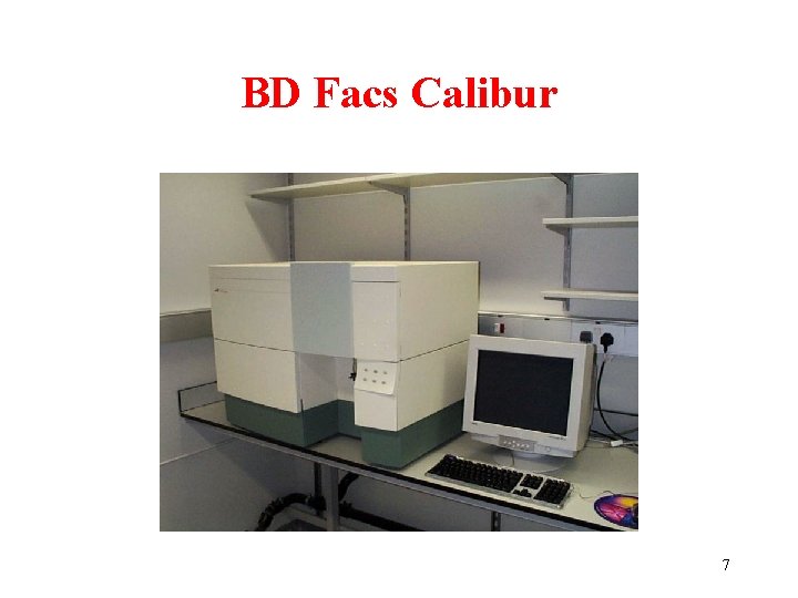 BD Facs Calibur 7 BD Facs Calibur 7