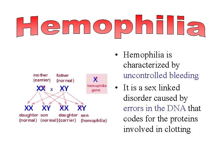  • Hemophilia is characterized by uncontrolled bleeding • It is a sex linked