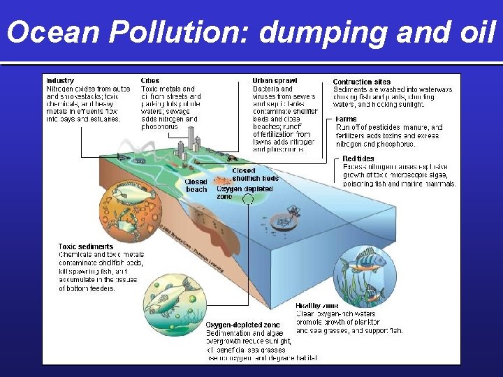 Ocean Pollution: dumping and oil 
