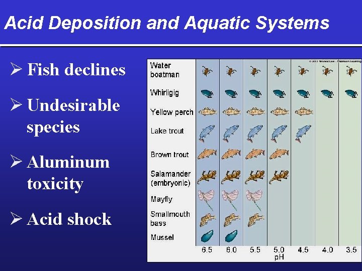 Acid Deposition and Aquatic Systems Ø Fish declines Ø Undesirable species Ø Aluminum toxicity