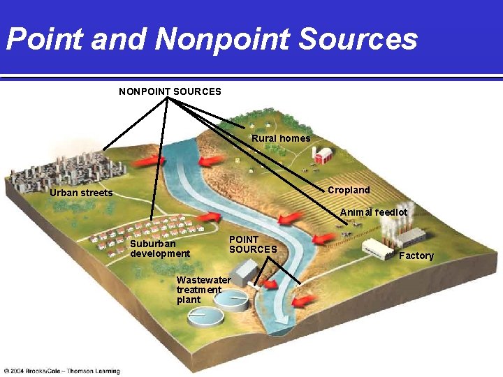 Point and Nonpoint Sources NONPOINT SOURCES Rural homes Cropland Urban streets Animal feedlot Suburban