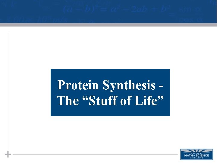 Protein Synthesis The “Stuff of Life” 