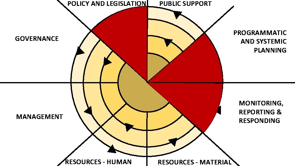 POLICY AND LEGISLATION PUBLIC SUPPORT PROGRAMMATIC AND SYSTEMIC PLANNING GOVERNANCE MONITORING, REPORTING & RESPONDING