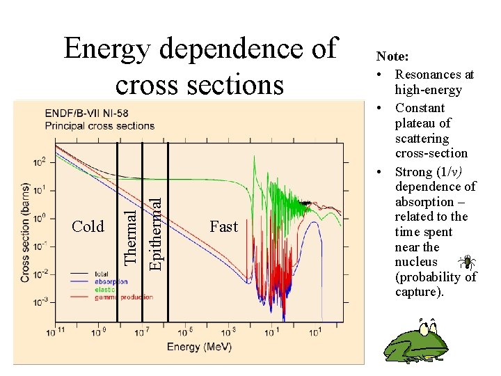 Cold Thermal Epithermal Energy dependence of cross sections Fast Note: • Resonances at high-energy