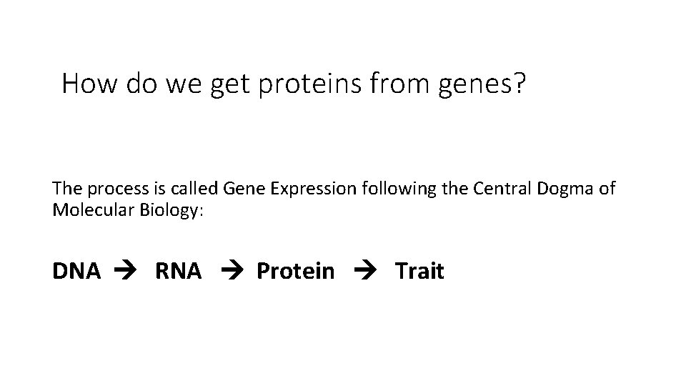 How do we get proteins from genes? The process is called Gene Expression following