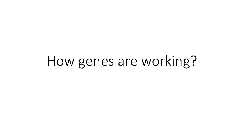 How genes are working? 