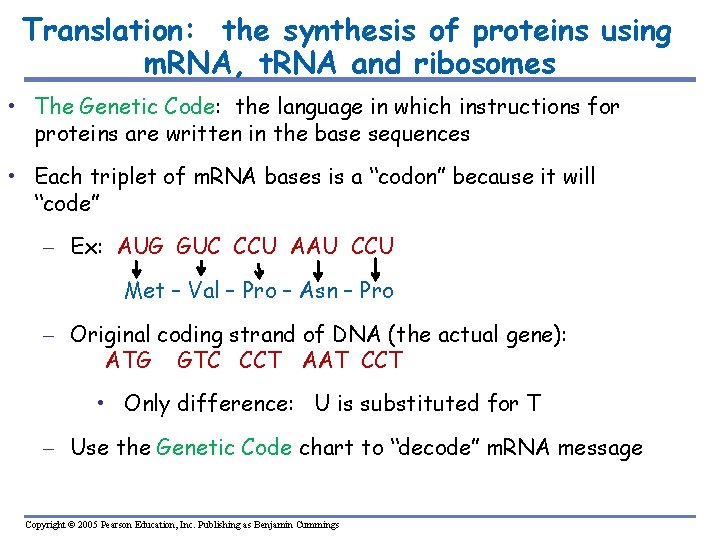 Translation: the synthesis of proteins using m. RNA, t. RNA and ribosomes • The