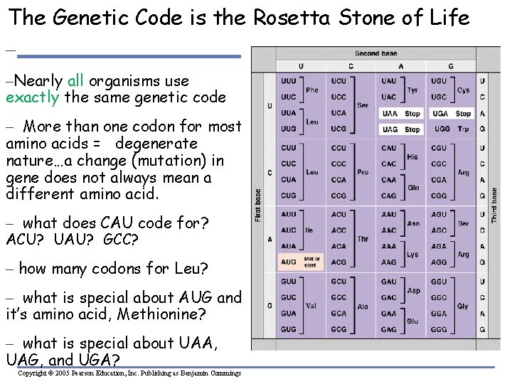 The Genetic Code is the Rosetta Stone of Life – –Nearly all organisms use