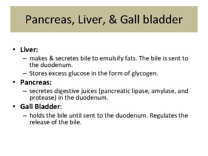 Pancreas, Liver, & Gall bladder • Liver: – makes & secretes bile to emulsify
