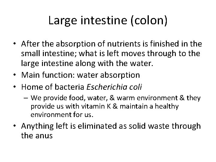 Large intestine (colon) • After the absorption of nutrients is finished in the small