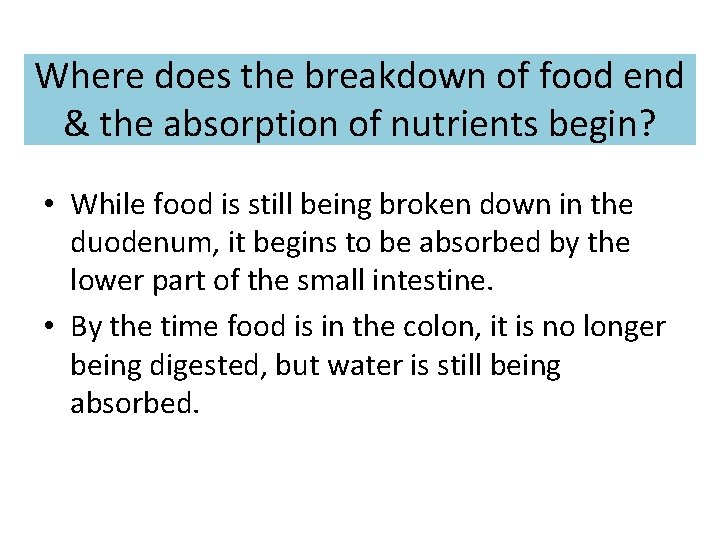 Where does the breakdown of food end & the absorption of nutrients begin? •