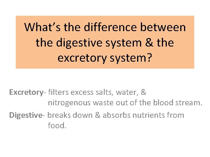 What’s the difference between the digestive system & the excretory system? Excretory- filters excess