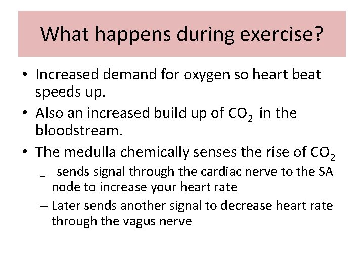 What happens during exercise? • Increased demand for oxygen so heart beat speeds up.