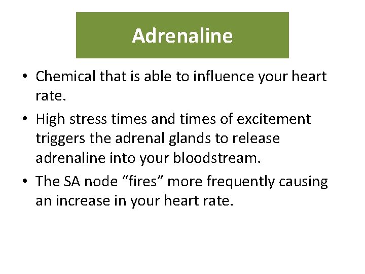 Adrenaline • Chemical that is able to influence your heart rate. • High stress