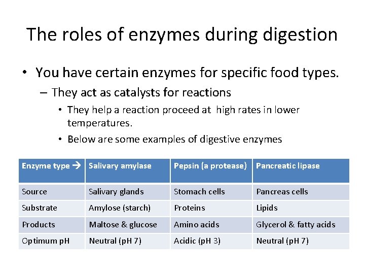 The roles of enzymes during digestion • You have certain enzymes for specific food