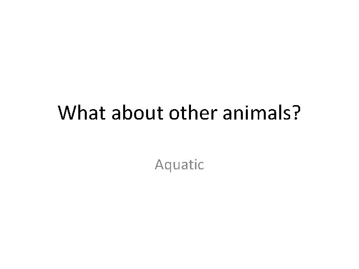 What about other animals? Aquatic 