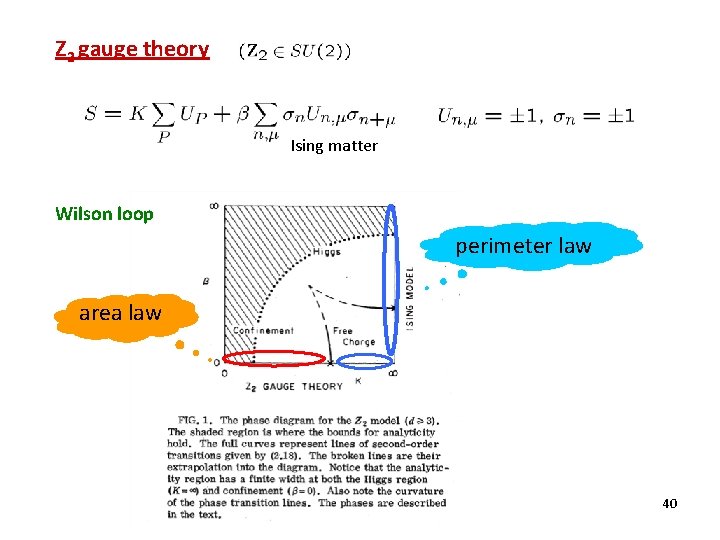 Z 2 gauge theory Ising matter Wilson loop perimeter law area law 40 