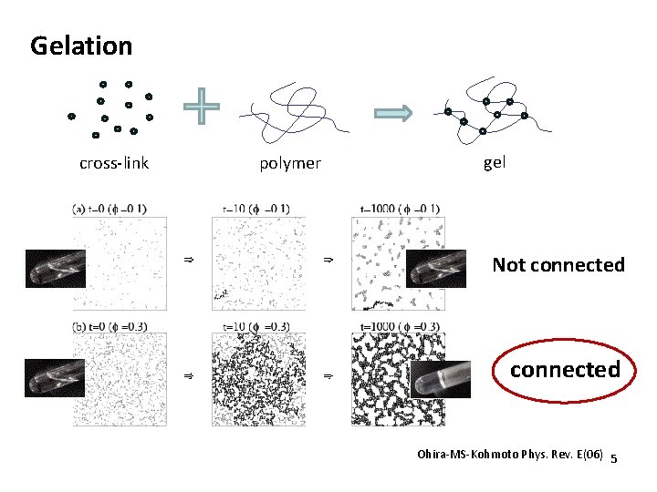 Gelation cross-link polymer gel Not connected Ohira-MS-Kohmoto Phys. Rev. E(06) 5 