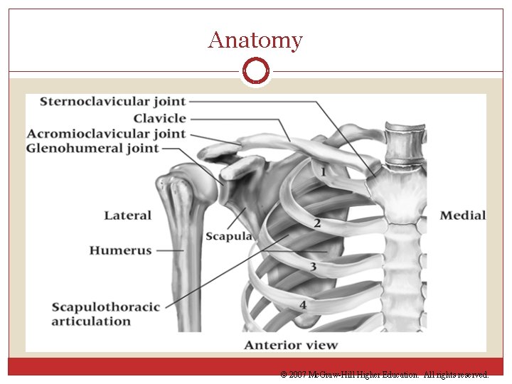 Anatomy © 2007 Mc. Graw-Hill Higher Education. All rights reserved. 