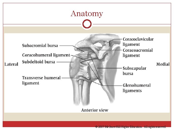 Anatomy © 2007 Mc. Graw-Hill Higher Education. All rights reserved. 