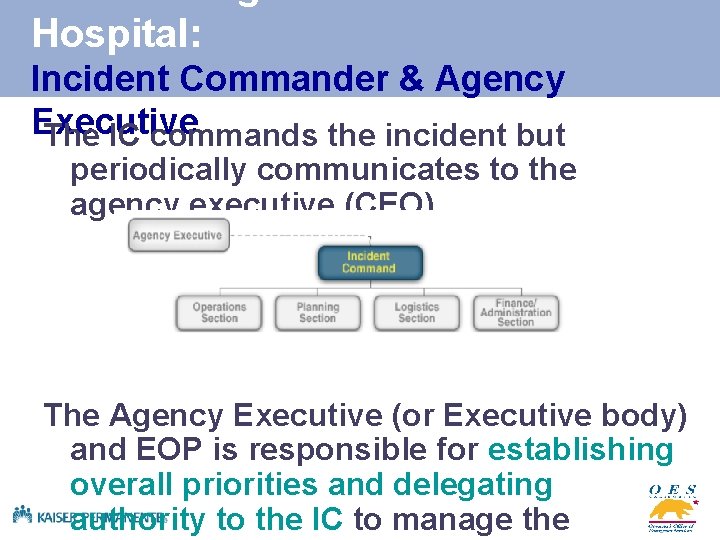 Hospital: Incident Commander & Agency Executive The IC commands the incident but periodically communicates