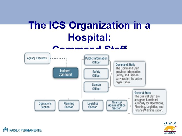 The ICS Organization in a Hospital: Command Staff 