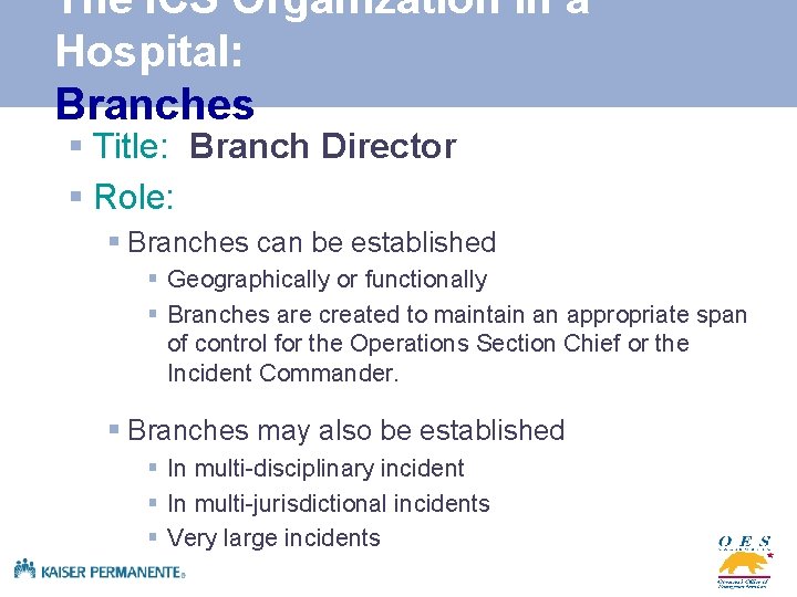 The ICS Organization in a Hospital: Branches § Title: Branch Director § Role: §