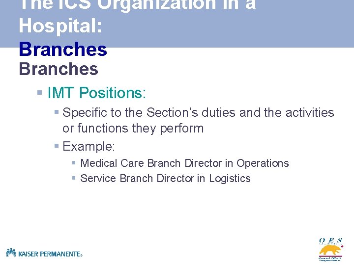 The ICS Organization in a Hospital: Branches § IMT Positions: § Specific to the
