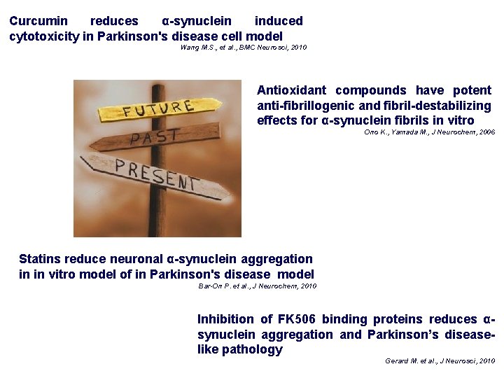 Curcumin reduces α-synuclein induced cytotoxicity in Parkinson's disease cell model Wang M. S. , Curcumin reduces α-synuclein induced cytotoxicity in Parkinson's disease cell model Wang M. S. ,