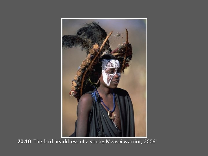 20. 10 The bird headdress of a young Maasai warrior, 2006 