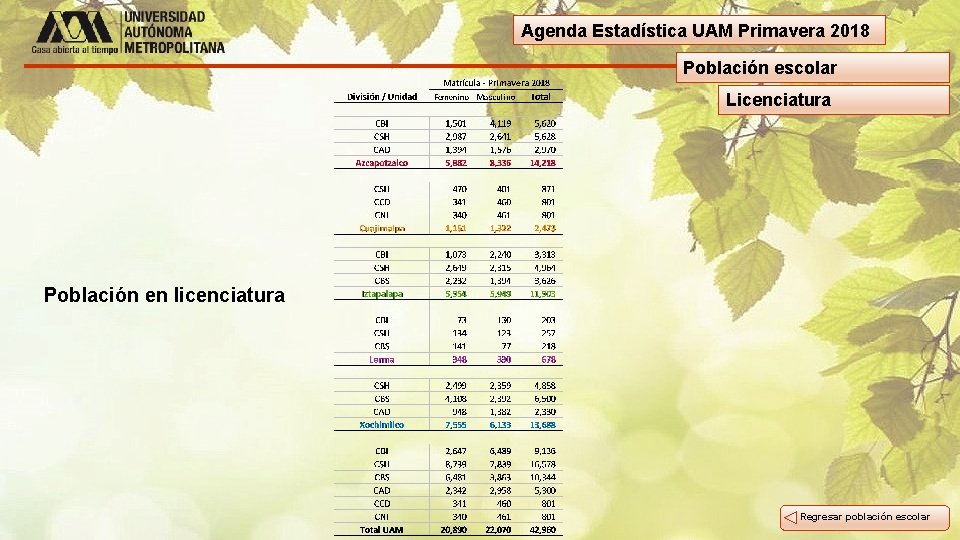 Agenda Estadística UAM Primavera 2018 Población escolar Licenciatura Población en licenciatura Regresar población escolar