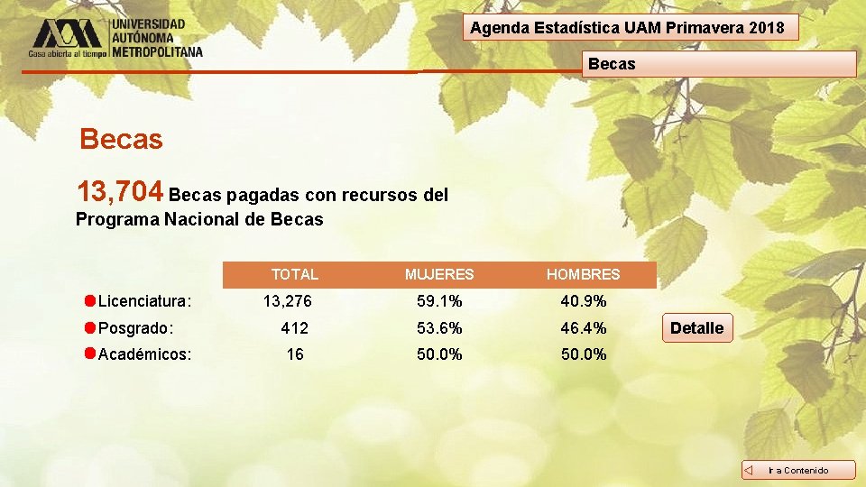 Agenda Estadística UAM Primavera 2018 Becas 13, 704 Becas pagadas con recursos del Programa